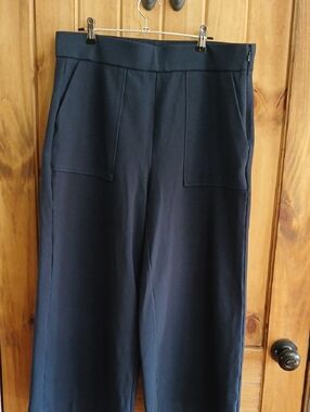 J Crew 365 Stretch Crop Pants - Large